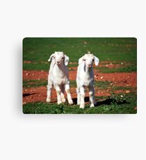 Twins Canvas Print
