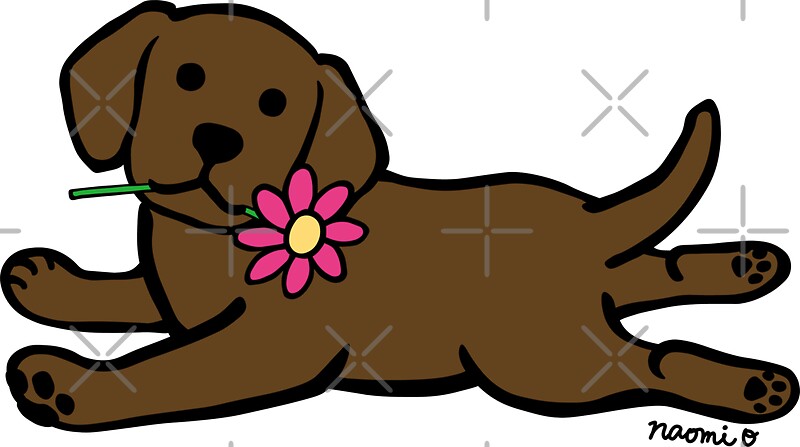 Chocolate Labrador Cartoon Designs by HappyLabradors | Redbubble