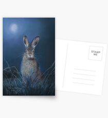 Hare in moonlight Postcards