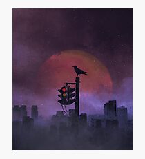 The Raven Photographic Print