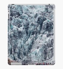 Fox Glacier iPad Case/Skin
