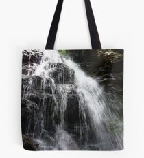 Ricketts Glen State Park Tote Bag