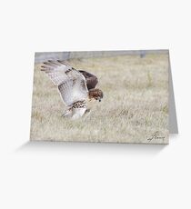 A Frog Stomper Greeting Card
