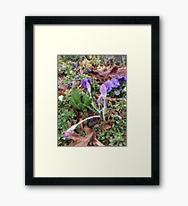 Spring Flowers and May Showers Framed Print