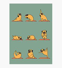 Lámina fotográfica Yoga pug