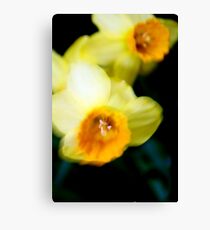 yellow flowers Canvas Print