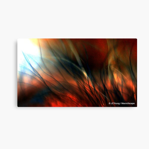 Raging Fire Canvas Print