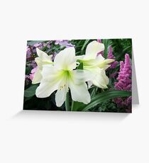 Amaryllis 'Lemon Lime' Greeting Card