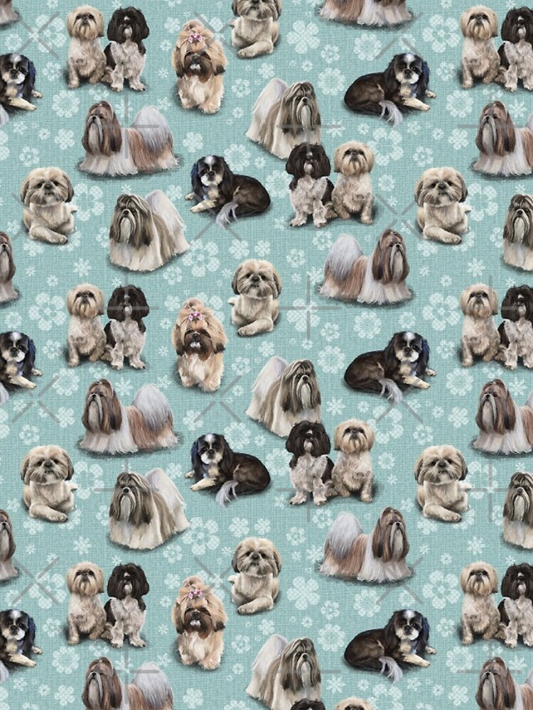 The Shih Tzu by elspethrose