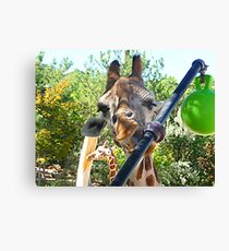 Ug! Oh! Uunh! © Canvas Print