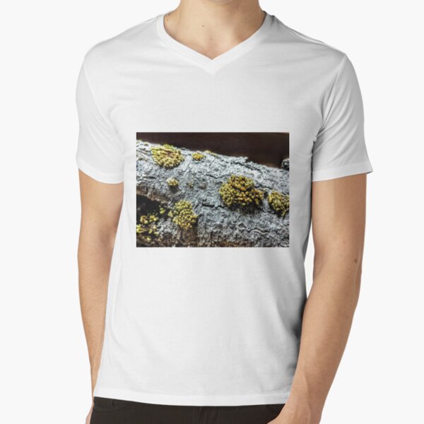 moss on a log closeup V-Neck T-Shirt