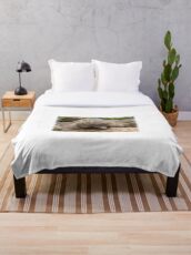 Echidna Throw Blanket