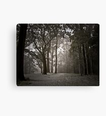 Eerie Canvas Print
