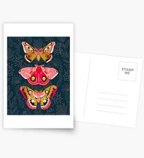 Lepidoptery No. 4 by Andrea Lauren Postcards