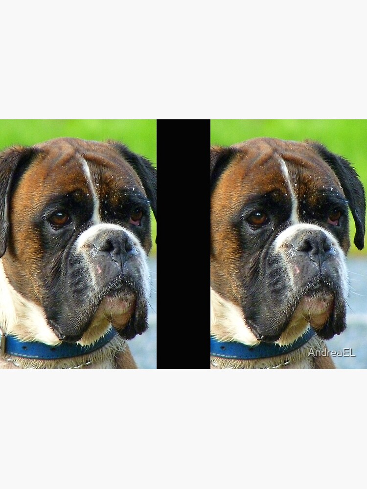 "Beautiful Jowls! Boxer Dog NZ" Hardcover Journal by AndreaEL