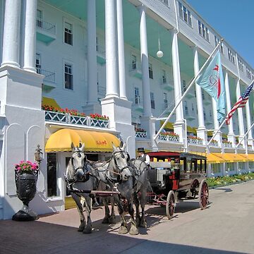 Artwork thumbnail, Carriage at the Grand Hotel, Mackinac Island, Michigan by cathysherman