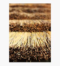 Thatch Photographic Print
