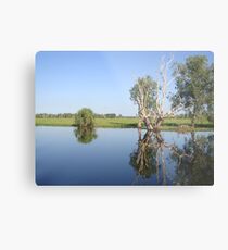 Reflections Metal Print