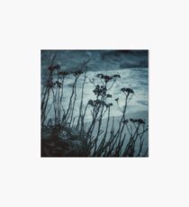 Midnight Dreams of the Sea Art Board Print