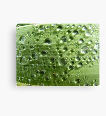 Macro drops Canvas Print