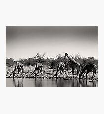 Team Drink Photographic Print