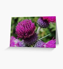 Very Scottish Greeting Card