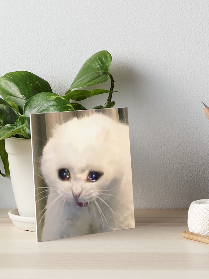 42+ Crying Cat Meme Eyes Transparent