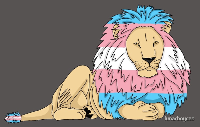 lion-trans