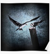 Colder Confrontations Poster