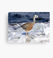 Caught by a wave Canvas Print