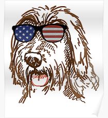 Póster Wirehaired Pointing Griffon in glasses