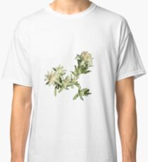 Europe, flower, Edelweiss, photography, BebiCervin Classic T-Shirt