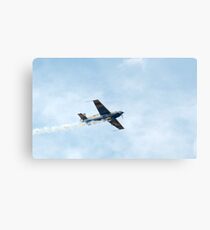 Extra 300 aerobatic plane Metal Print