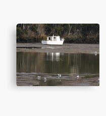 environmental awareness Canvas Print