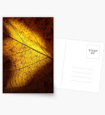 Golden View Postcards