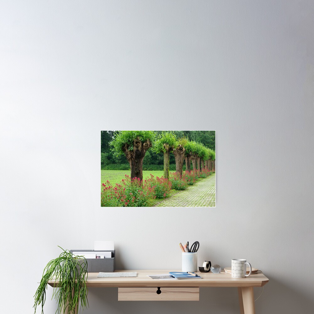 Each their own story - Knotted willows Poster