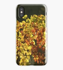 Vineyard iPhone Case