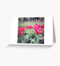 Tarjeta de felicitación Flores rosadas