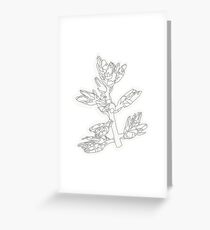 Tarjeta de felicitación Planta