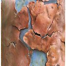 Shedding Skin by Simon Aberle