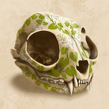 Artwork thumbnail, cat skull decorated with wasabi flowers by morden