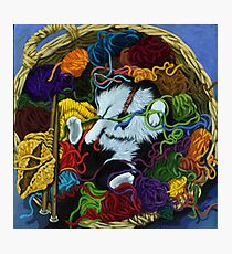 "Knitter's Helper" - cat portrait painting Photographic Print