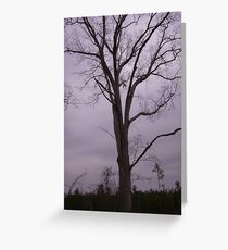 Dreary Greeting Card