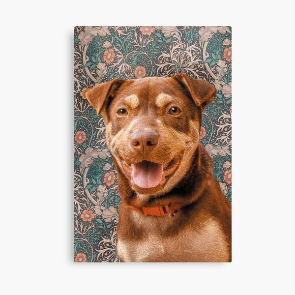 Morris - Maurice - The Chouchoukes Canvas Print