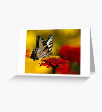 Golden Days Greeting Card
