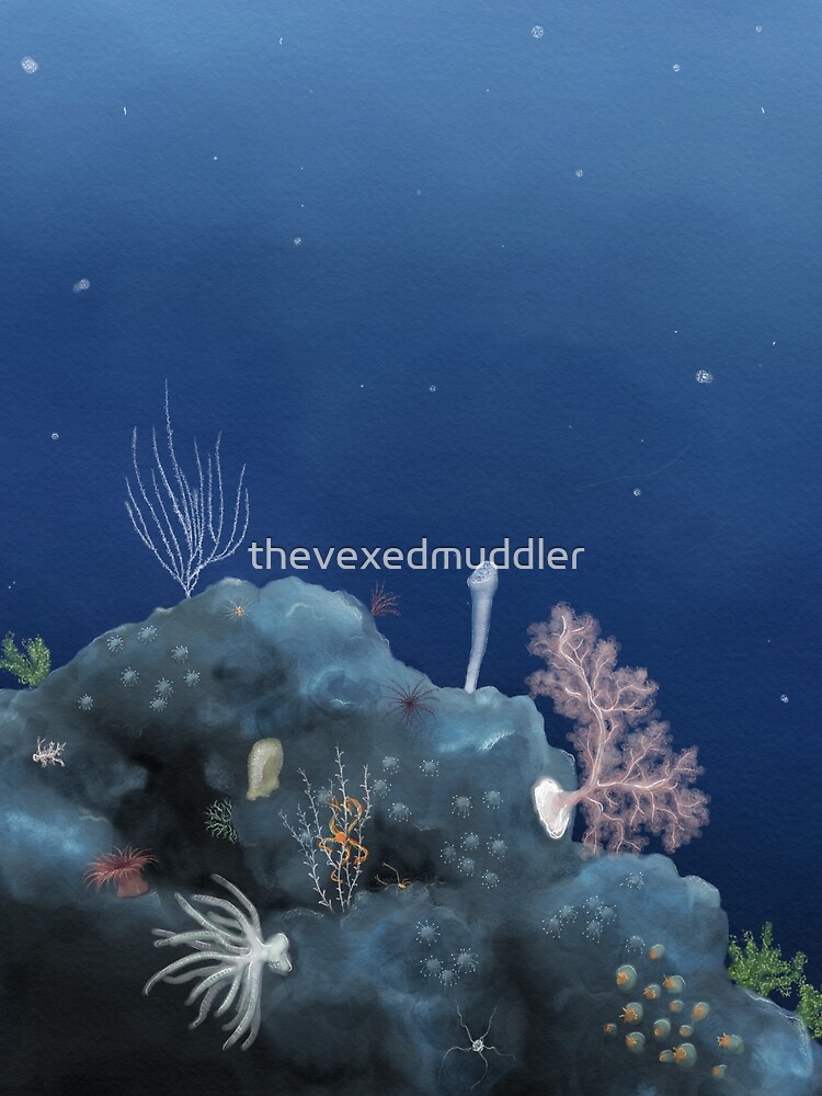 Deep ocean vista - Johnston Atoll by thevexedmuddler