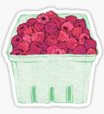 cartoon of raspberries Sticker