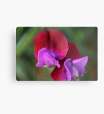 Two-Tone Metal Print