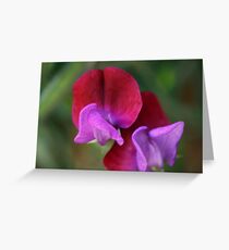 Two-Tone Greeting Card