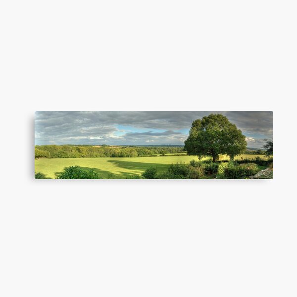What a view Canvas Print